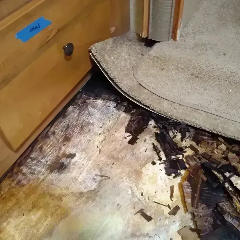 Best Wood Floor Water Damage Service in Ashtabula County, OH